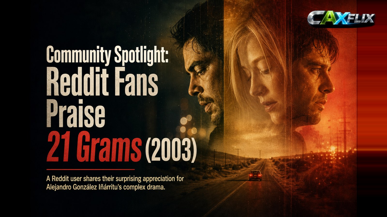 Community Spotlight: Reddit Fans Praise 21 Grams (2003) for Its Intriguing Storytelling