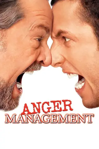 Anger Management 2003